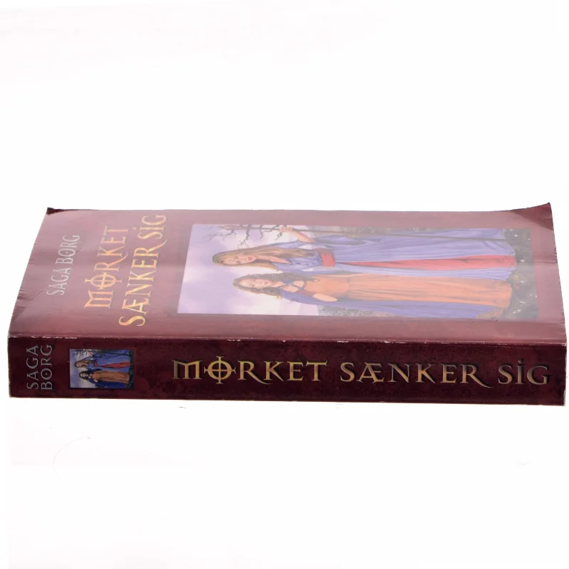 Mørket sænker sig af Saga Borg (Bog)