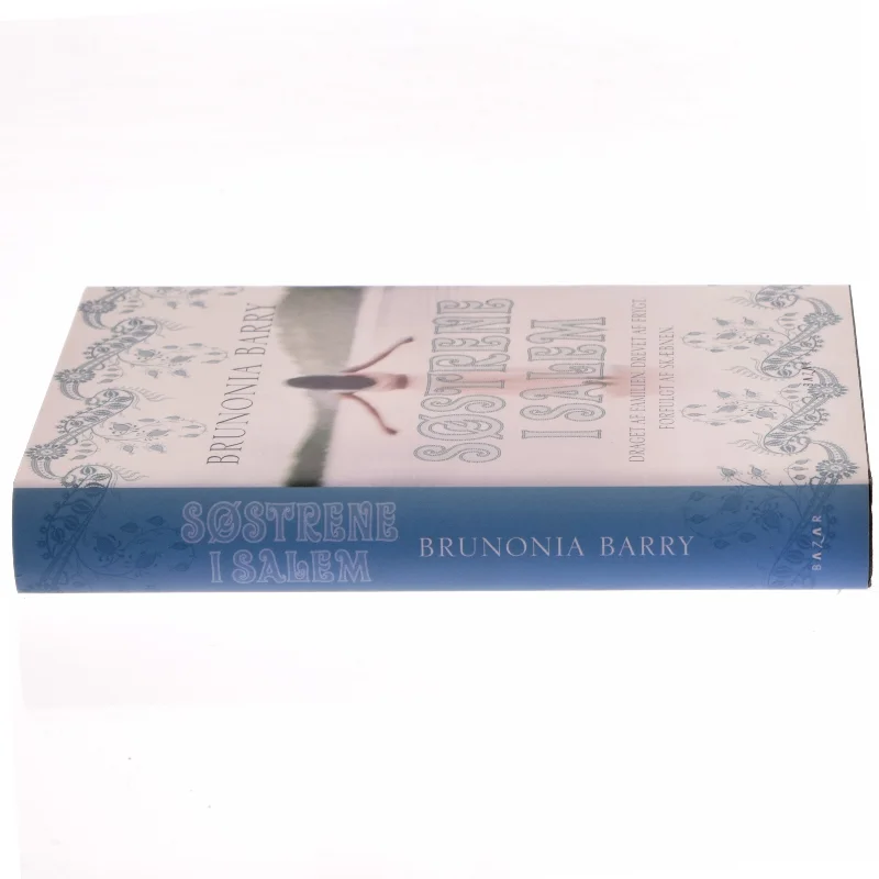 Søstrene i Salem af Brunonia Barry (Bog)