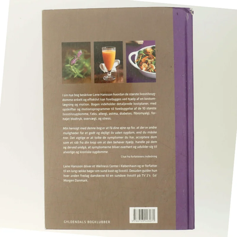 Vejen til naturlig sundhed af Lene Hansson (Bog)