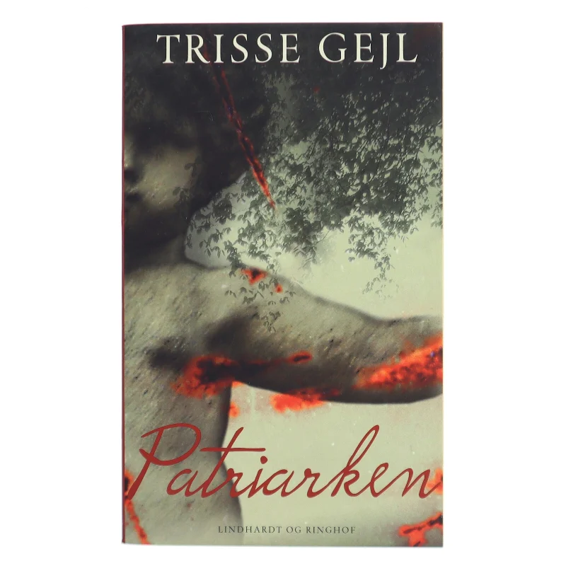 Patriarken : roman af Trisse Gejl (Bog)