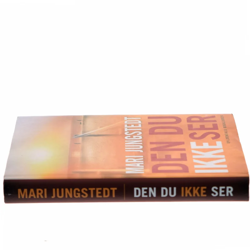 Den du ikke ser : kriminalroman af Mari Jungstedt (Bog)