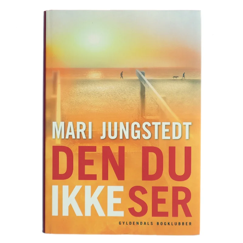 Den du ikke ser : kriminalroman af Mari Jungstedt (Bog)