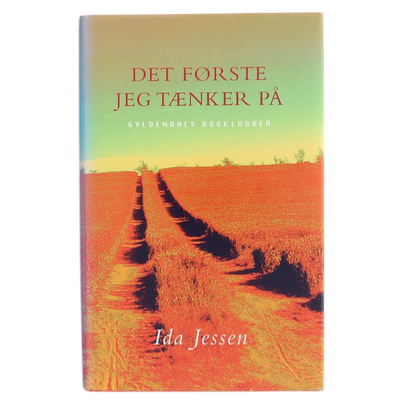 Det første jeg tænker på af Ida Jessen (f. 1964) (Bog)