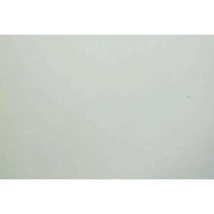 Dronningeofret af Hanne-Vibeke Holst (Bog)