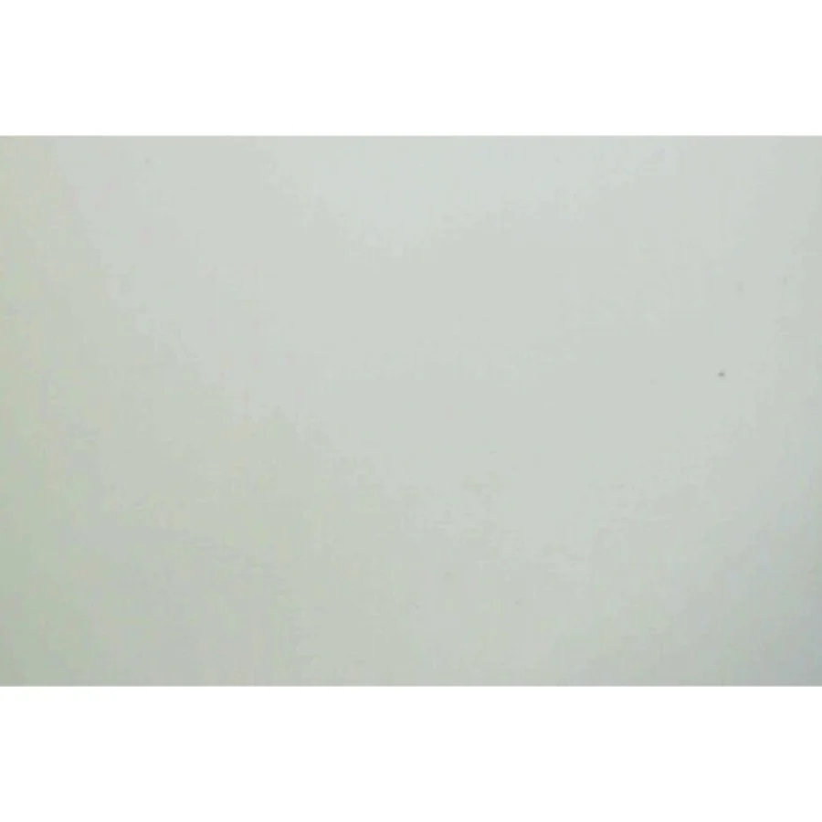 Dronningeofret af Hanne-Vibeke Holst (Bog)