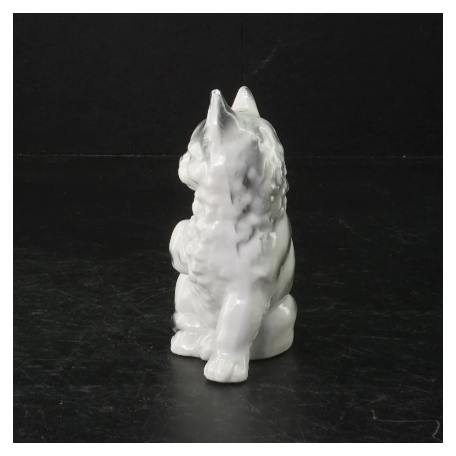 Porcelænskat