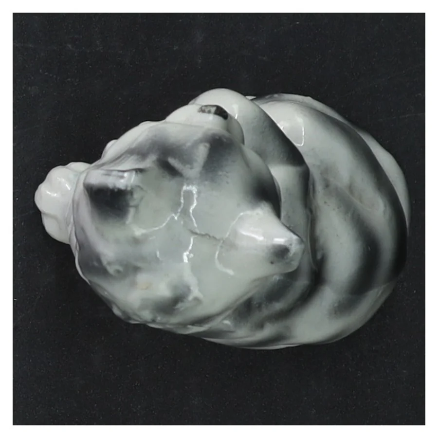 Porcelænskat