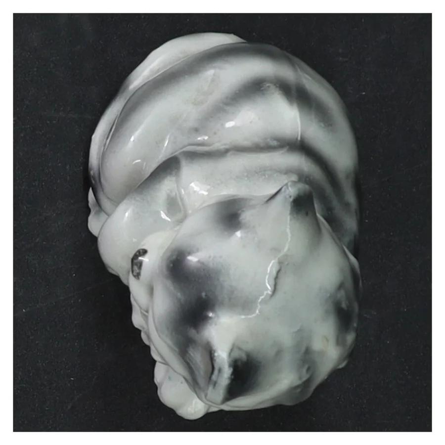 Porcelænskat