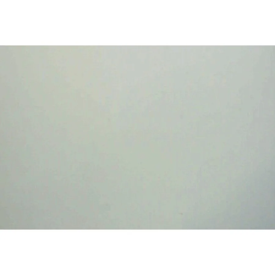 Æg : roman af Morten Ramsland (Bog)