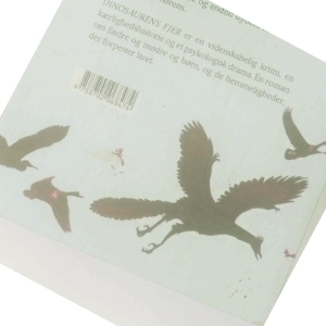 Dinosaurens fjer : roman af Sissel-Jo Gazan (Bog)