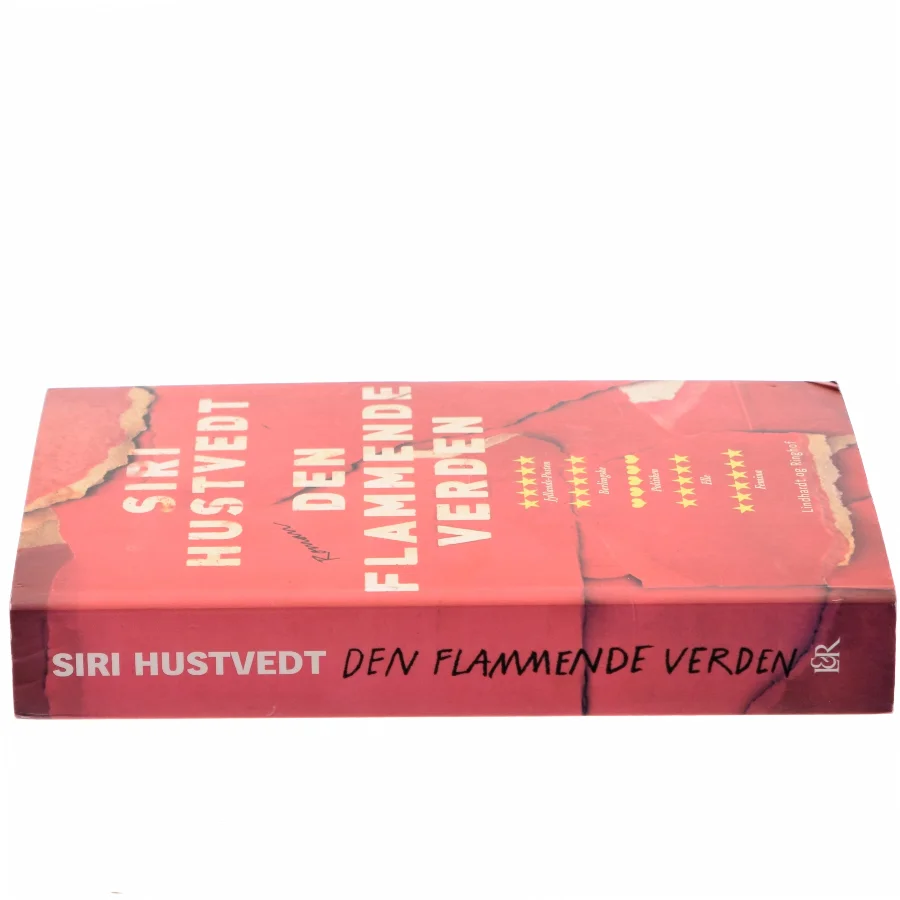 Den flammende verden : roman (Læseklubpose) af Siri Hustvedt (Bog)