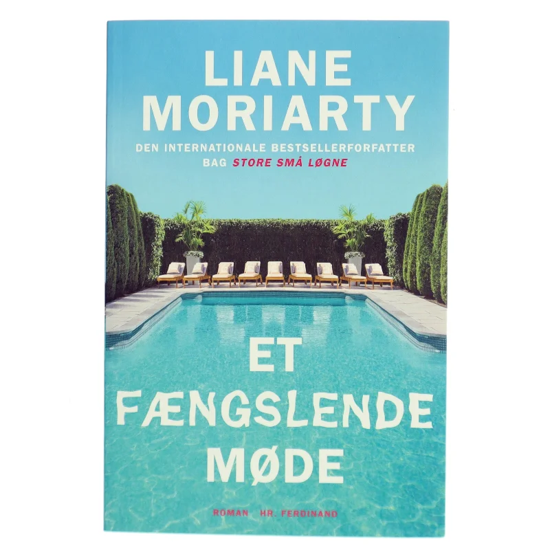 Et fængslende møde : roman af Liane Moriarty (Bog)