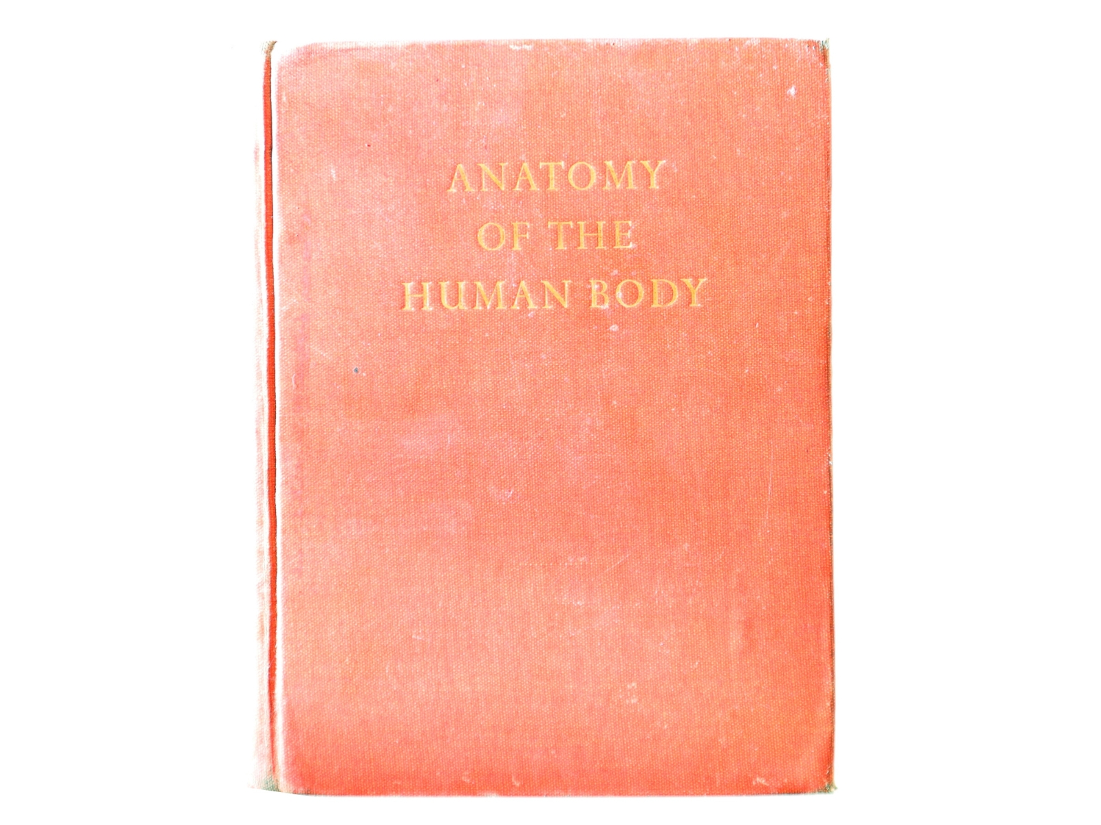 Anatomy of the Human Body (Bog)