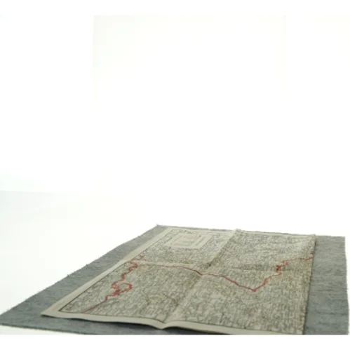 Vintage kort over Vestfronten / Tyskland (str. 46 x 32 cm)