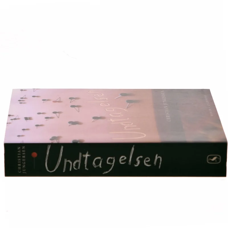 Undtagelsen af Christian Jungersen (Bog)