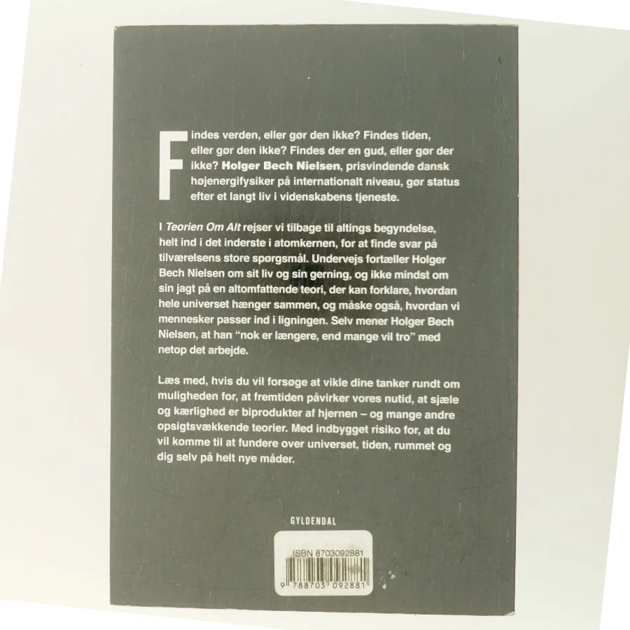 Teorien om alt af Holger Bech Nielsen (Bog)
