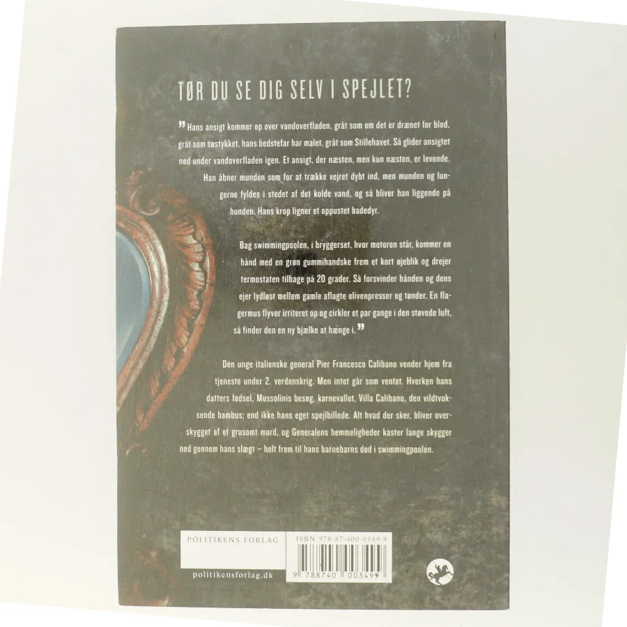 Næsten levende : en slægtskrimi af Liv Mørk (Bog)