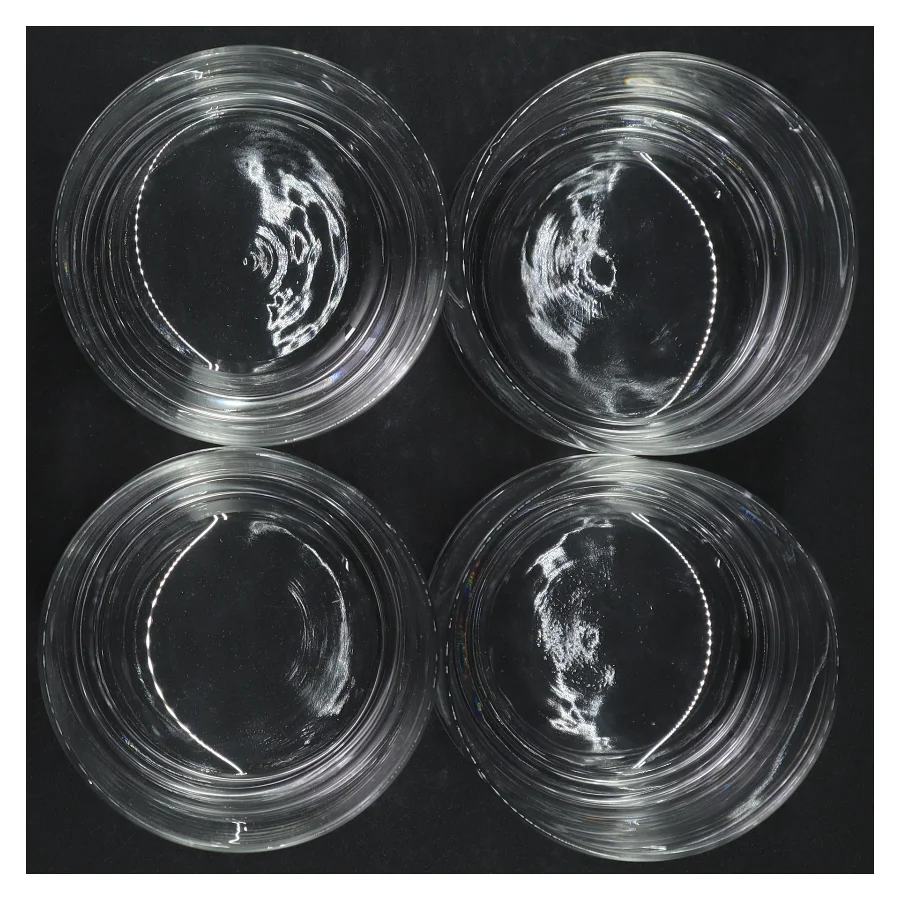 Luigi Bormioli Krystal Whiskeyglas fra Luigis Bar (str. H. 9,5 cm. ø. 8,5 cm)