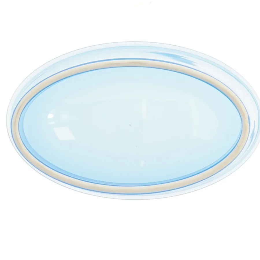 Blå plastikbeholder med låg (str. 17x8 cm)