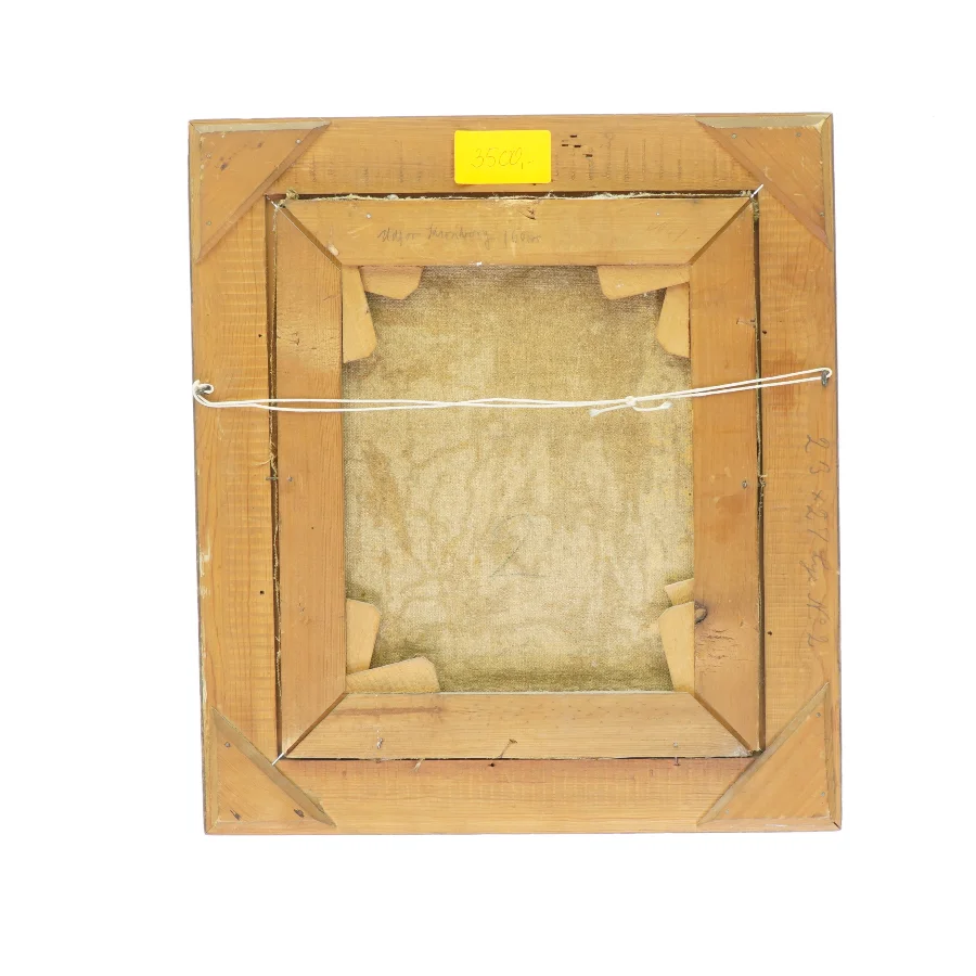 Billede, skibsportræt (str. 24 x 28 cm)