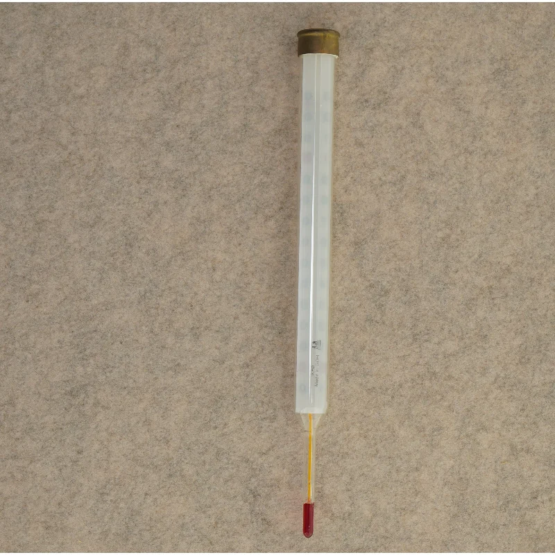 Termometer (str. 31 x 2 cm)