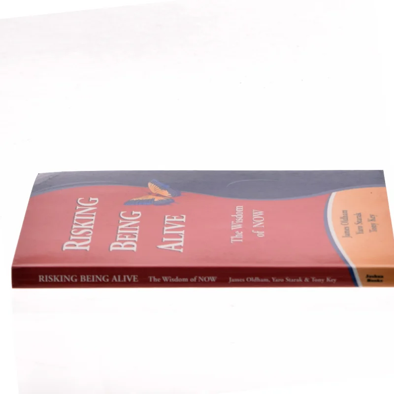 Risking Being Alive (Bog)