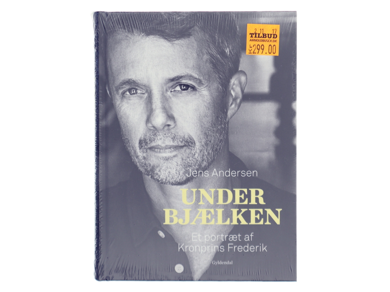 Under bjælken af Jens Andersen (f. 1955) (Bog)