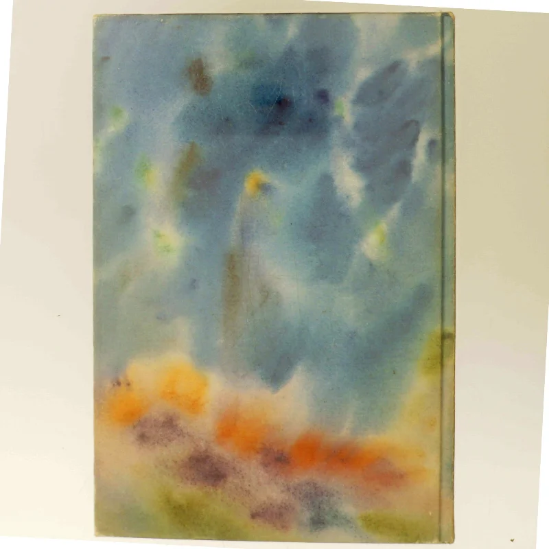 Børnepsykiatri af Lene Lier (Bog)