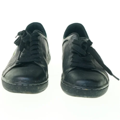 Sko fra Lacoste (str. 36)