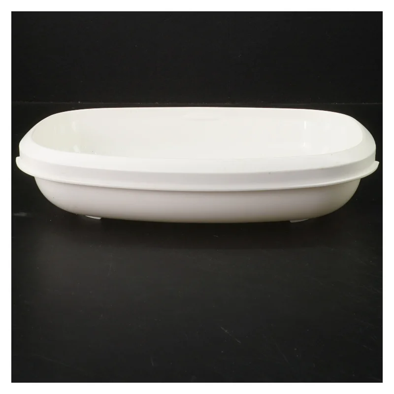 Tupperware madbeholder fra Tupperware (str. 27x20x7 cm)