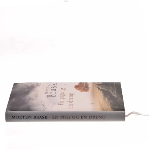 En pige og en dreng af Morten Brask (Bog)