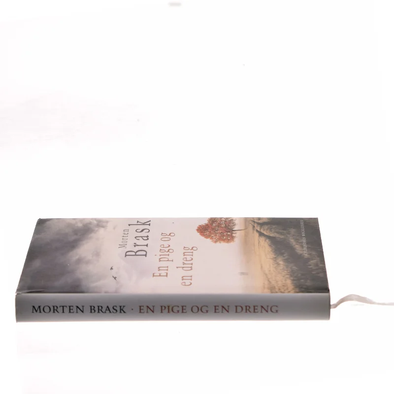 En pige og en dreng af Morten Brask (Bog)