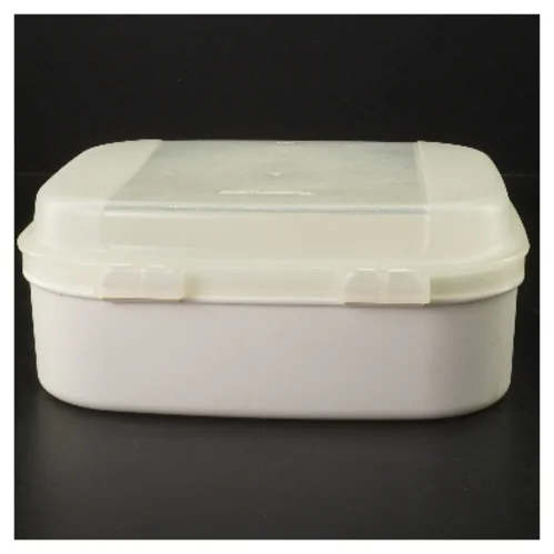 Plastik opbevaringsboks fra Tupperware (str. 20x17x8 cm)
