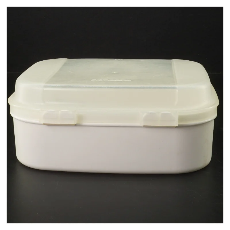 Plastik opbevaringsboks fra Tupperware (str. 20x17x8 cm)