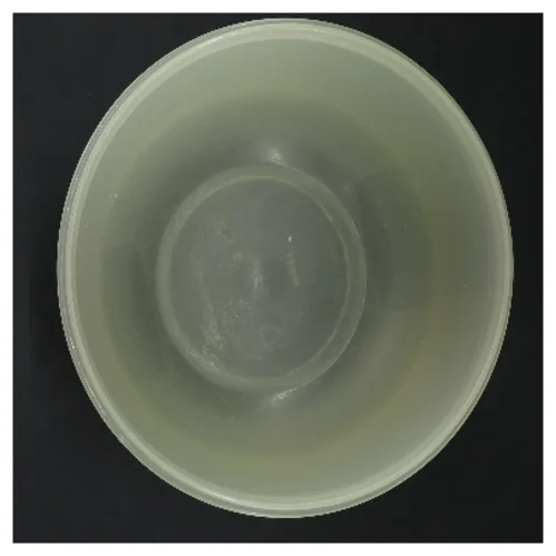 Rund plastbeholder med låg fra Tupperware (str. Ø 20 cm, 14 cm)