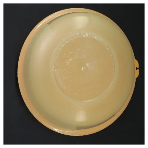 Rund plastbeholder med låg fra Tupperware (str. Ø 20 cm, 14 cm)