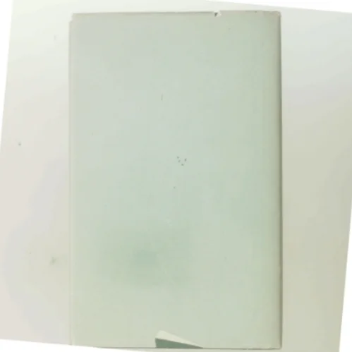 Lille menneske af Charlotte Strandgaard (Bog)