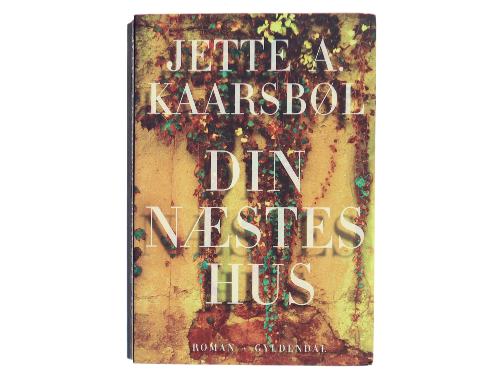 Din næstes hus af Jette A. Kaarsbøl (Bog)