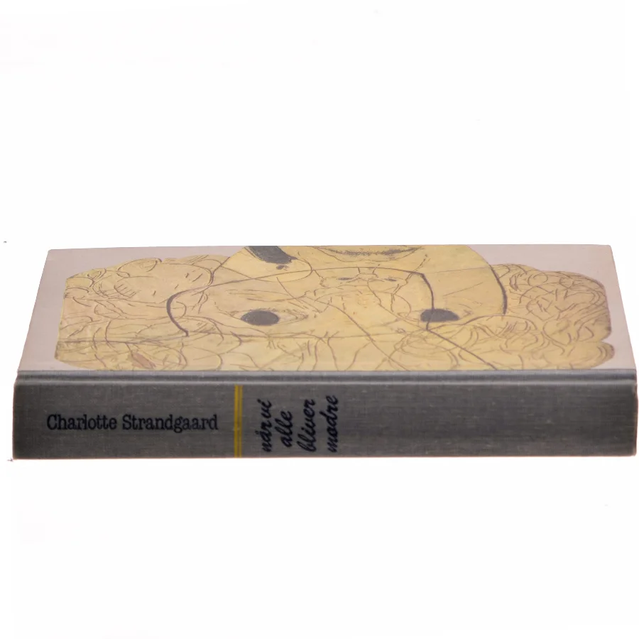 når vi alle bliver mødre af Charlotte Strandgaard (Bog)