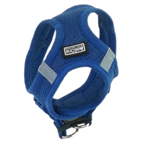 Hundesele fra Anione (str. 13 x 10 cm)