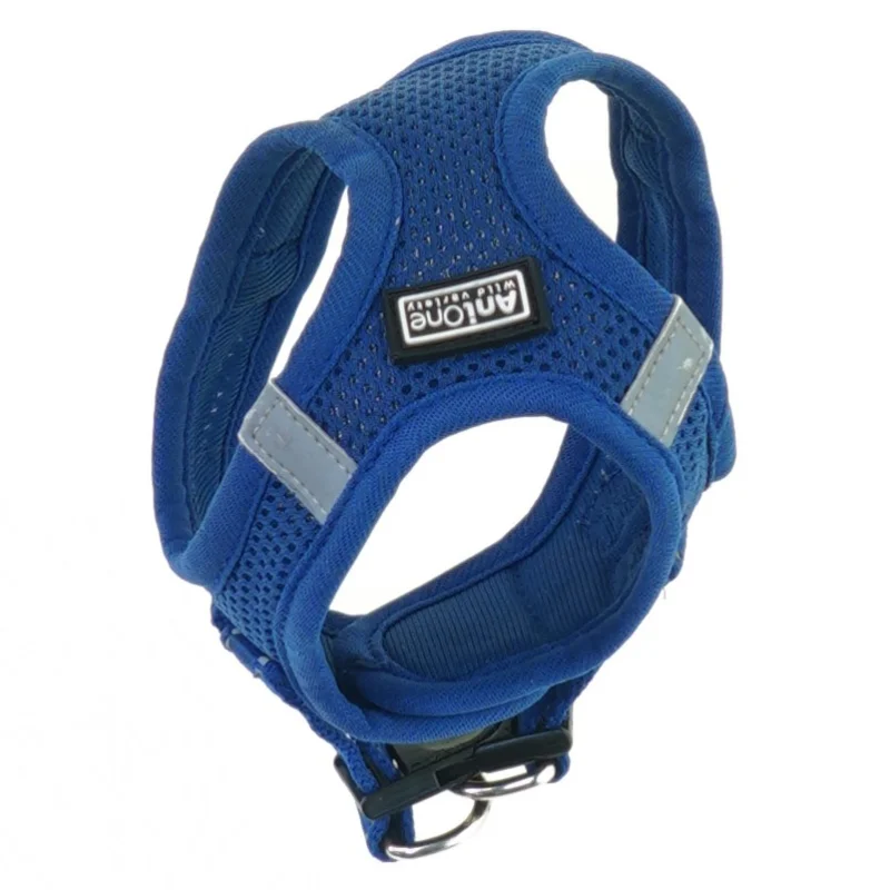 Hundesele fra Anione (str. 13 x 10 cm)