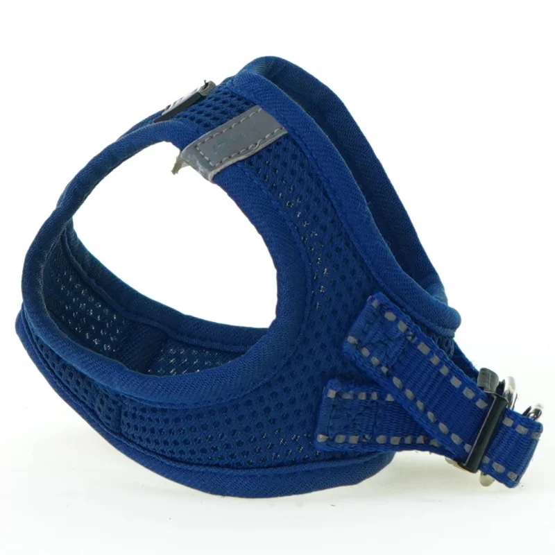 Hundesele fra Anione (str. 13 x 10 cm)