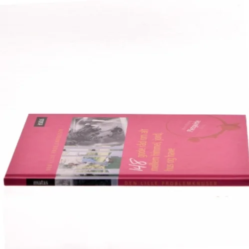 Den lille problemknuser af Henrik Engberg Johannsen (Bog)