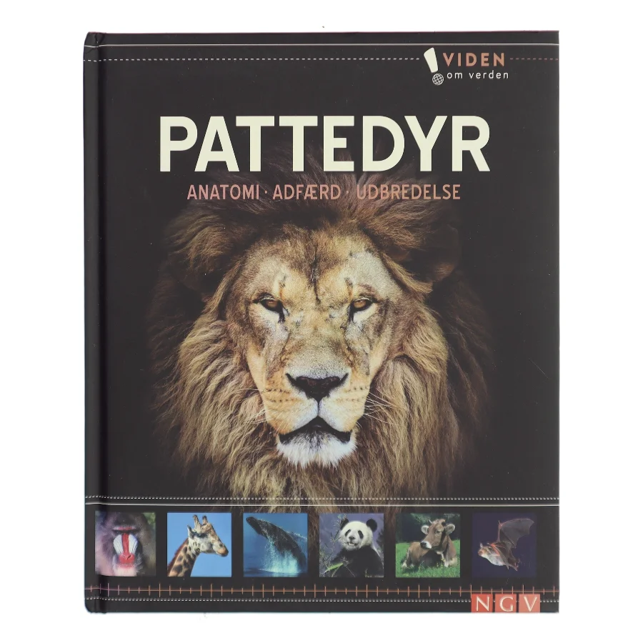 Pattedyr (Bog)
