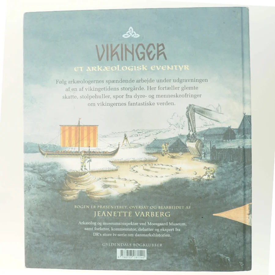 Vikinger : et arkæologisk eventyr af Mats Vänehem (Bog)