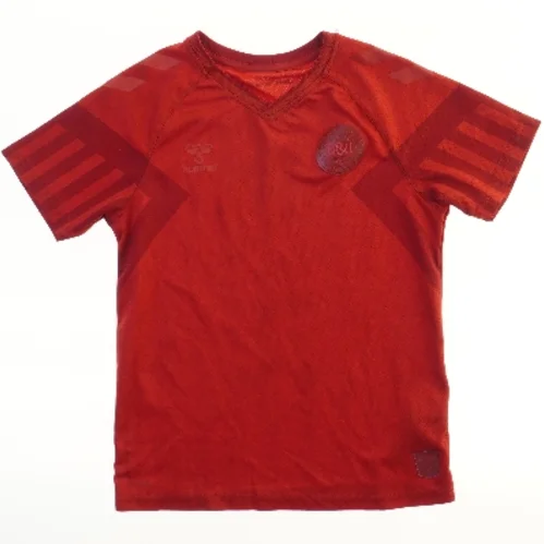 DK landsholdstrøje DBU Hummel (str.  42x55 cm)