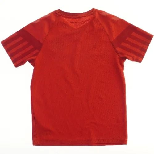 DK landsholdstrøje Hummel DBU logo trøje (str.  43x56 cm)