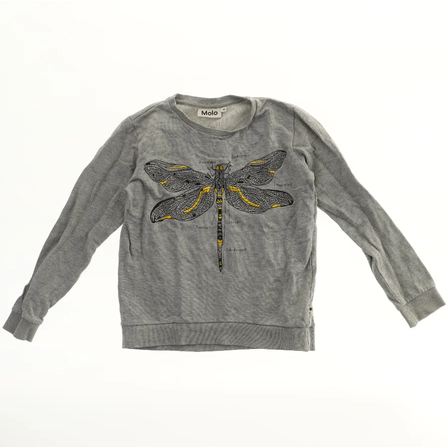 Molo sweatshirt med guldsmed motiv(str. 140)
