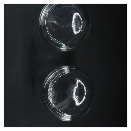 Glasvaser 30 cm (str. 30 cm)