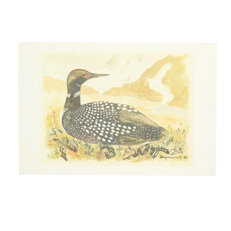 Tryk af fugl (str. 51 x 34,5)